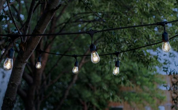 LED Indoor/Outdoor String Lights